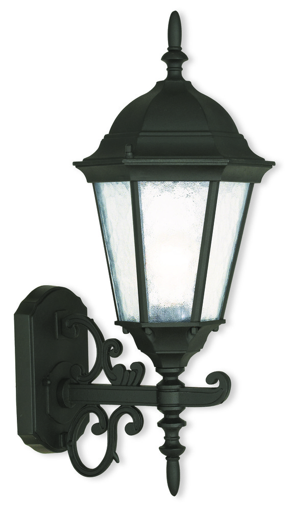 1 Light TBK Outdoor Wall Lantern