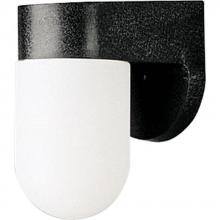 Progress P5817-31 - Non-Metallic Incandescent One-Light Outdoor Wall Lantern