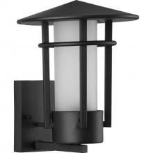 Progress P560273-031 - Exton Collection One-Light Textured Black and Etched Seeded Glass Modern Style Medium Outdoor Wall L