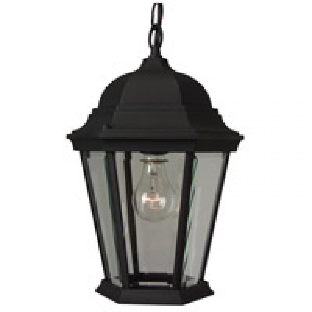 Straight Glass Cast 1 Light Outdoor Pendant in Textured Black