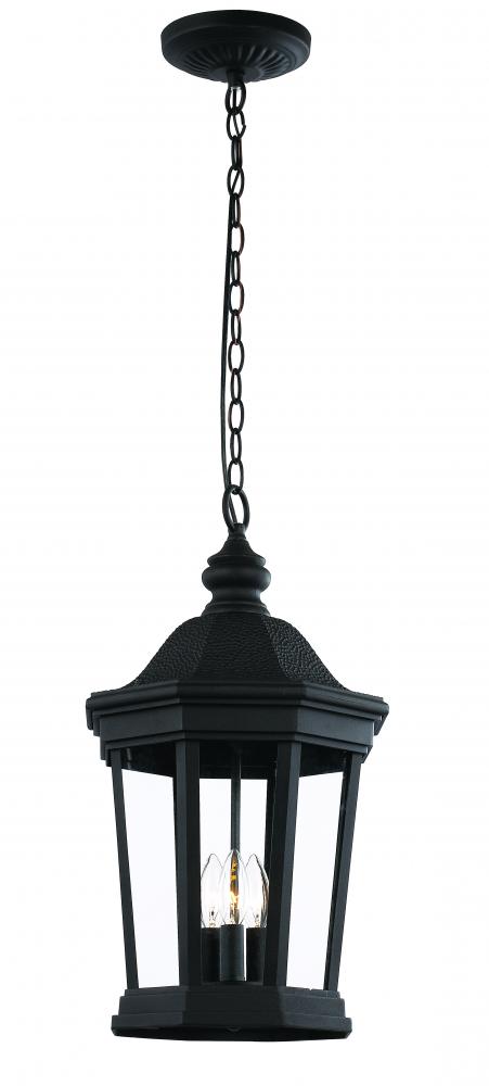 Westfield Hexagon Shaped, Clear Glass Outdoor Pendant Light with Chain