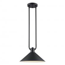 Trans Globe 11761 BK - Roscoe 1 - Light Industrial Pendant