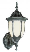 Trans Globe 4040 BC - Hamilton 1-Light Opal Glass Traditional Outdoor Wall Lantern