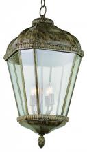 Trans Globe 5156 BRT - Covington 4-Light Braided Crown Trim and Clear Beveled Glass Outdoor Hanging Pendant Light