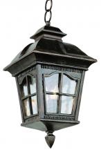 Trans Globe 5426 AR - Briarwood 4-Light Rustic, Chesapeake Embellished, Outdoor Pendant with Water Glass and Metal Frame