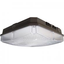 Nuvo 65/146 - LED Canopy Light - 60W - 4000K - Bronze Finish - 120-277V